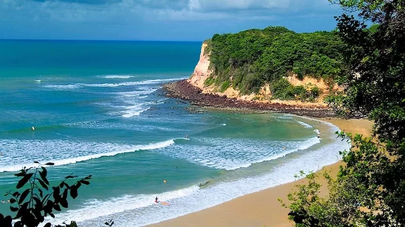 Pipa