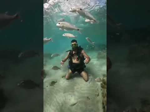 Parrachos de Maracajaú