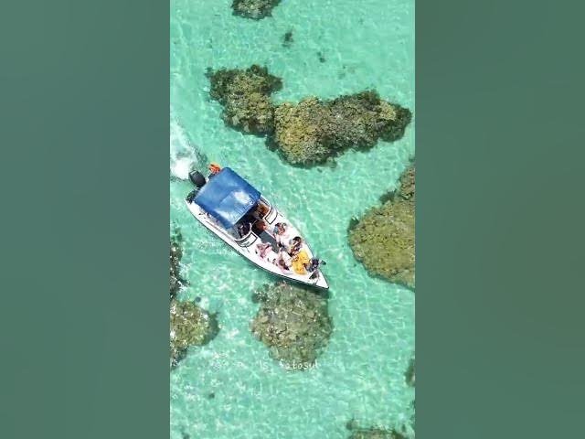 Parrachos de Rio do Fogo