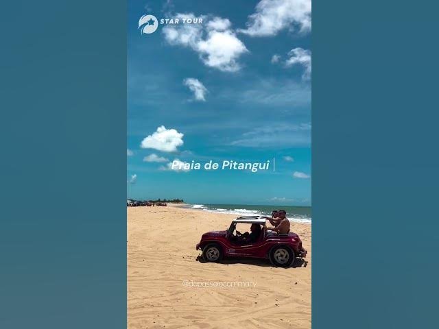Buggy Litoral Norte
